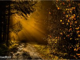 _mg_6373-editb