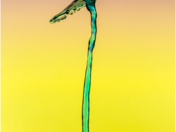 Waterdrops