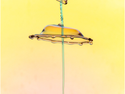 Waterdrops