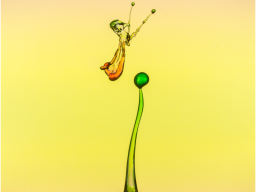 Waterdrops